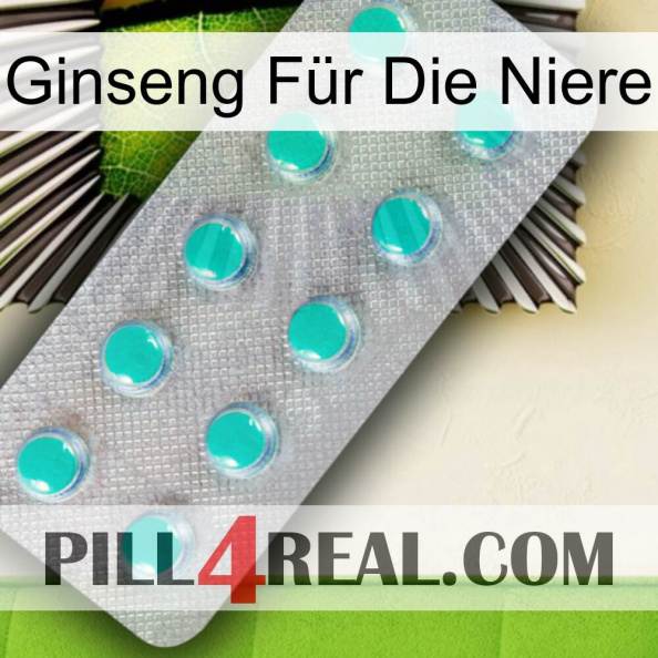Ginseng Für Die Niere 28